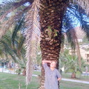 ���������� ������, ���� ������� �����, 61 ���, ������������ 