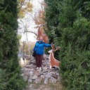  ,   , 53 ,   , 