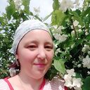 ���������� ���������, ���� ������� �����, 44 ����, ������������ ��� ����� � ���������, c�������� ���������, ���������