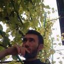  ,   Sarvar, 34 ,   ,   , c 
