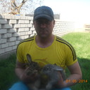  -,   , 38 ,     , c 