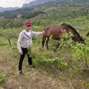 ���������� ����, ���� ������� ����, 37 ���, ������������ ��� ������, ����� � ���������, c�������� ���������