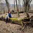 ���������� ���������, ���� ������� ����, 49 ���, ������������ ��� ������, ����� � ���������