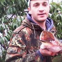 ���������� ����, ���� ������� ��������, 44 ����, ������������ ��� ������, ����� � ���������, c�������� ���������