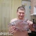  ,   , 43 ,   ,   , 