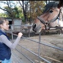  ,   EVA, 41 ,  