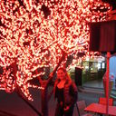  ,   ANGEL, 38 ,   ,   , c 