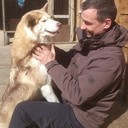 ���������� ������������, ���� ������� �������, 54 ����, ������������ ��� ������, ����� � ���������, c�������� ���������