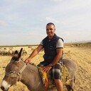 ���������� ������, ���� ������� ������, 44 ����, ������������ ��� ������, ����� � ���������, c�������� ���������, ���������