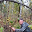 ���������� ���������, ���� ������� �������, 37 ���, ������������ ��� c�������� ���������, ���������