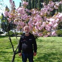  ,   , 62 ,   c 