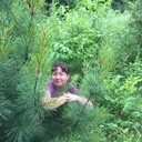 ���������� �����������, ���� ������� ��������, 41 ���, ������������ ��� ������, ���������