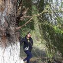 ���������� ������, ���� ������� ������������, 29 ���, ������������ ��� ������