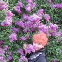  ,   , 61 ,  