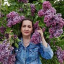 ���������� ������, ���� ������� ���������, 51 ���, ������������ ��� ������, ����� � ���������, c�������� ���������