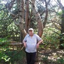  ,   , 72 ,   ,   