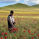 ���������� �����-���������, ���� ������� �����, 33 ����, ������������ ��� ������, ���������