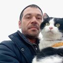 ���������� �������, ���� ������� ����, 38 ���, ������������ ��� c�������� ���������