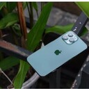 ���������� ������, ���� ������� Raboni, 31 ���, ������������ ��� ������, ����� � ���������