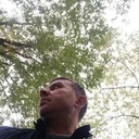 ���������� ���������, ���� ������� ���������, 40 ���, ������������ ��� ������, ����� � ���������, c�������� ���������