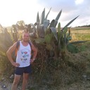 ���������� ������, ���� ������� �������, 44 ����, ������������ ��� ������, ����� � ���������, c�������� ���������