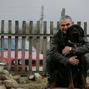  ,   Tiger, 62 ,     , c 