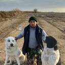 ���������� ������, ���� ������� ������, 38 ���, ������������ ��� ����� � ���������, c�������� ���������