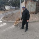 ���������� �������, ���� ������� �������, 49 ���, ������������ ��� ������, ����� � ���������, c�������� ���������, ���������