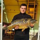 ���������� ������, ���� ������� Vitalya, 30 ���, ������������ ��� ������, ����� � ���������, c�������� ���������, ���������