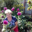 ���������� �����, ���� ������� ��������, 64 ����, ������������ ��� c�������� ���������