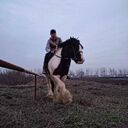 ���������� �������, ���� ������� ������, 38 ���, ������������ ��� ������, ����� � ���������, c�������� ���������, ���������