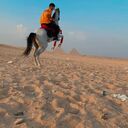 ���������� �����-���������, ���� ������� Amr, 28 ���, ������������ ��� ������, ����� � ���������