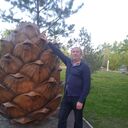 ���������� ����������, ���� ������� �������, 46 ���, ������������ ��� ������, ����� � ���������