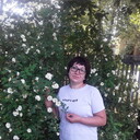  ,   , 55 ,   c 