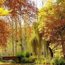 ���������� ����������, ���� ������� ����, 46 ���, ������������ 