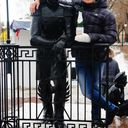 ���������� ������, ���� ������� ����, 31 ���, ������������ ��� ������