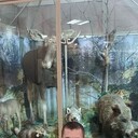   ,   , 35 ,   c 