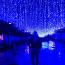 ���������� ���������, ���� ������� �������, 31 ���, ������������ ��� ������, ����� � ���������, c�������� ���������, ���������