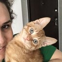 ���������� ������, ���� ������� ���������, 30 ���, ������������ ��� ������, ����� � ���������