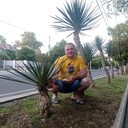 ���������� ������, ���� ������� ������, 44 ����, ������������ ��� ������, ����� � ���������, c�������� ���������