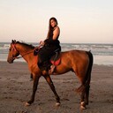  ,   Chanterelle, 37 ,   ,   , c 