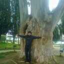 ���������� ���������, ���� ������� �����, 41 ���, ������������ ��� ������, ���������