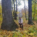 ���������� �������, ���� ������� ���������, 66 ���, ������������ ��� c�������� ���������