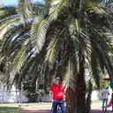 ���������� �������, ���� ������� ����, 45 ���, ������������ ��� ������, ����� � ���������, c�������� ���������