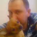 ���������� ������, ���� ������� ������, 43 ����, ������������ 