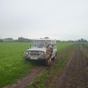 ���������� ����, ���� ������� ������, 35 ���, ������������ ��� ������, ����� � ���������, c�������� ���������