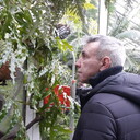 ���������� �����-���������, ���� ������� �������, 51 ���, ������������ ��� ������, ����� � ���������