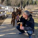 ���������� ������, ���� ������� �������, 45 ���, ������������ ��� ������, ����� � ���������, c�������� ���������