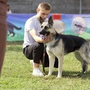 ���������� �����, ���� ������� �������, 28 ���, ������������ ��� ������, ����� � ���������, c�������� ���������, ���������