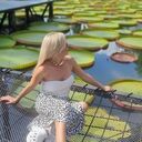 ���������� �����, ���� ������� �����, 49 ���, ������������ ��� ������, ����� � ���������, c�������� ���������, ���������